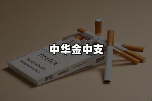 中华金中支